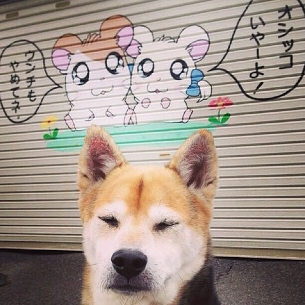 亚历山德里娅·帕金斯50米蝶泳冲进前列