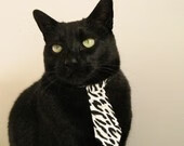 拜仁慕尼黑领跑德甲，冠军在望