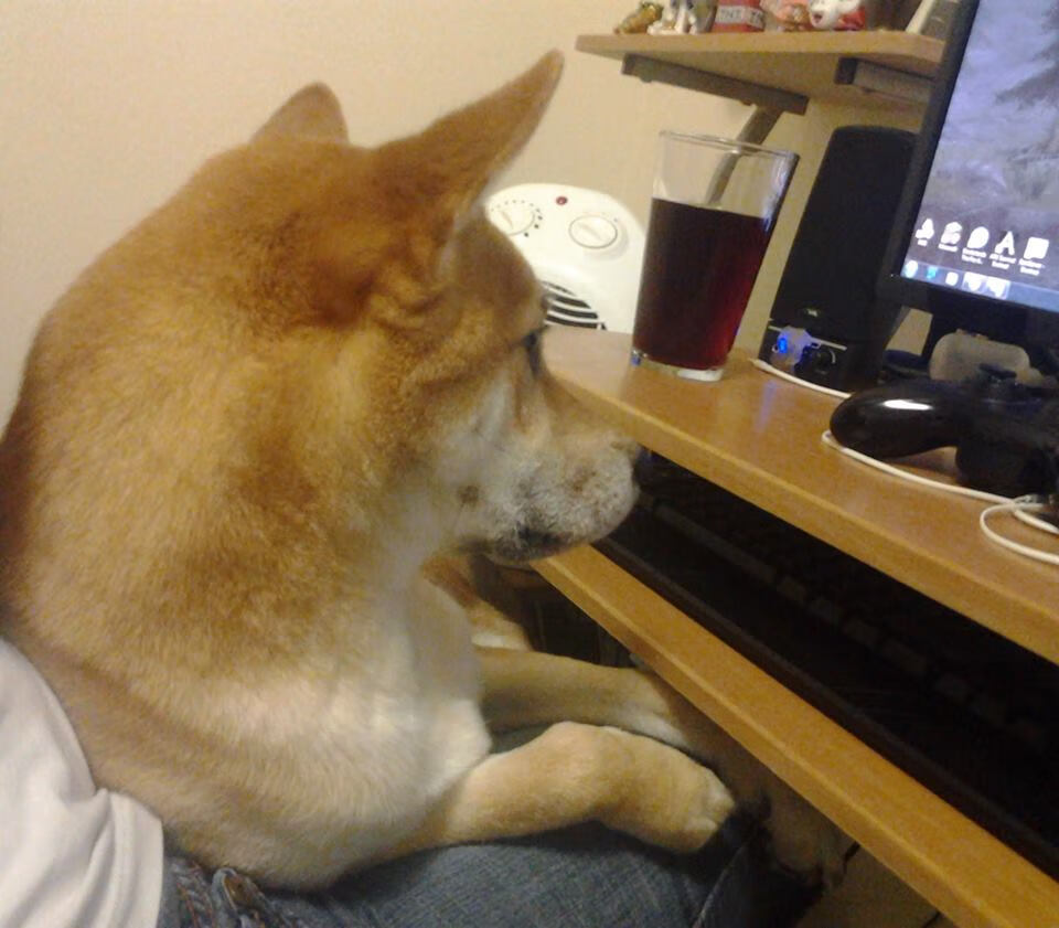 米兰体育网页版登陆-法甲未来领袖：新星崛起，引领足球新潮！，法甲十大新星